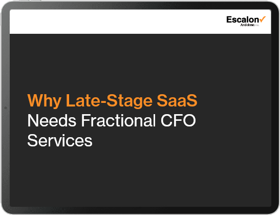 Why Late-Stage SaaS Needs Fractional CFO Services Ebook
